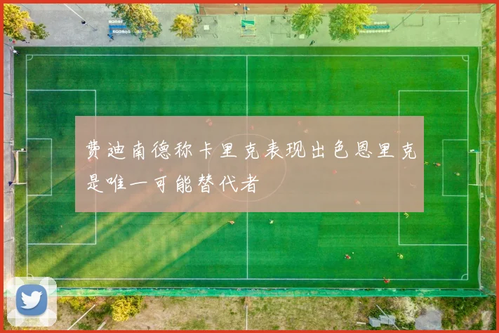 费迪南德称卡里克表现出色恩里克是唯一可能替代者